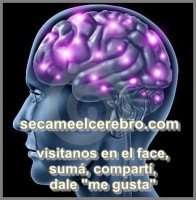 /album/secameelcerebro-com/cerebro-jpg1/
