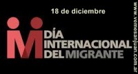 /album/diciembre-20131/a1812migrante-jpg/