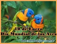 /album/a2014/a1001aves-jpg/