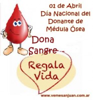 /album/marzo-2014/a0104medulaosea-jpg/