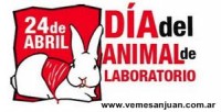 /album/marzo-2014/a2404animallaboratorio-jpg/
