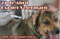 /album/marzo-2014/a2704veterinario-jpg/