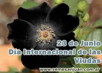 /album/mayo-2014/a2306viudas-jpg/