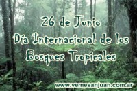 /album/mayo-2014/a2606bosquestropicales-jpg/