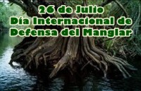 /album/julio-2014/a2607manglar-jpg/