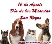 /album/julio-2014/a1608mascotas-jpg/