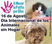 /album/julio-2014/a1608animalsinhogar-jpg/